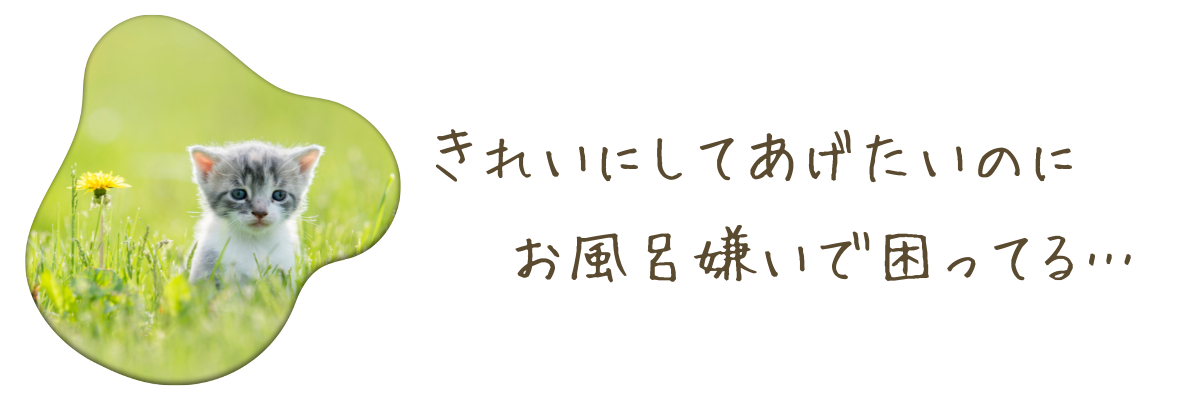 お風呂嫌いで困ってる